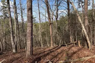 292 Shirley Rd SE, Ranger, GA 30734 - Photo 77