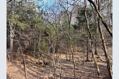 292 Shirley Road SE, Ranger, GA 30734 - Photo 15