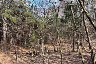 292 Shirley Rd SE, Ranger, GA 30734 - Photo 15