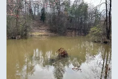 292 Shirley Road SE, Ranger, GA 30734 - Photo 63