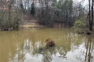 292 Shirley Rd SE, Ranger, GA 30734 - Photo 63