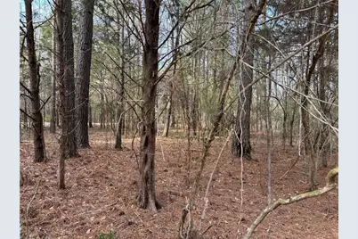 292 Shirley Road SE, Ranger, GA 30734 - Photo 13