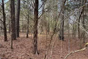 292 Shirley Rd SE, Ranger, GA 30734 - Photo 13