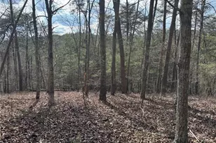 292 Shirley Rd SE, Ranger, GA 30734 - Photo 71