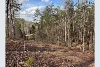 292 Shirley Road SE, Ranger, GA 30734 - Photo 79