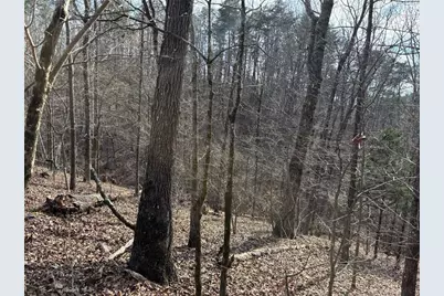 292 Shirley Road SE, Ranger, GA 30734 - Photo 25