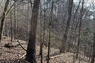 292 Shirley Rd SE, Ranger, GA 30734 - Photo 25