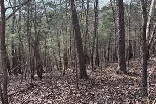 292 Shirley Rd SE, Ranger, GA 30734 - Photo 23