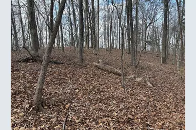 292 Shirley Road SE, Ranger, GA 30734 - Photo 67