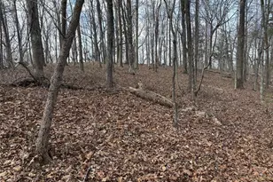 292 Shirley Rd SE, Ranger, GA 30734 - Photo 67