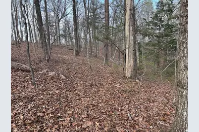 292 Shirley Road SE, Ranger, GA 30734 - Photo 19