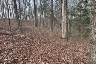 292 Shirley Rd SE, Ranger, GA 30734 - Photo 19