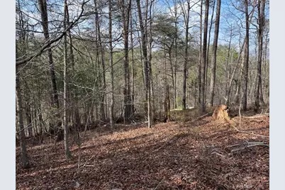 292 Shirley Road SE, Ranger, GA 30734 - Photo 75