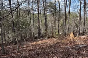 292 Shirley Rd SE, Ranger, GA 30734 - Photo 75