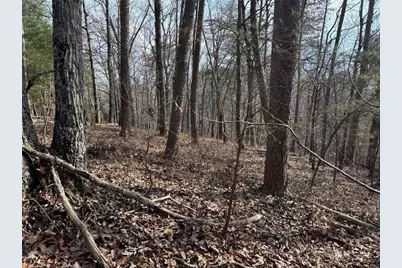 292 Shirley Road SE, Ranger, GA 30734 - Photo 73