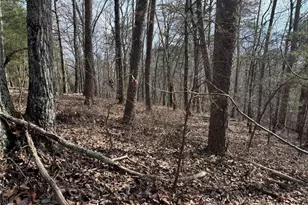 292 Shirley Rd SE, Ranger, GA 30734 - Photo 73