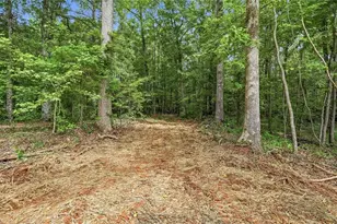 4013 Jersey Covington Rd, Covington, GA 30014 - Photo 85