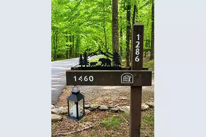 1286 Oglethorpe Mountain Road #20289, Jasper, GA 30143 - Photo 5