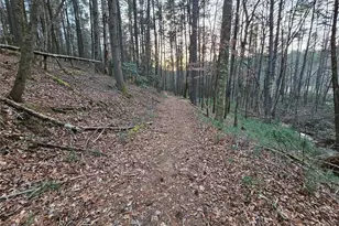 216 Sourwood Dr, Blue Ridge, GA 30513 - Photo 65