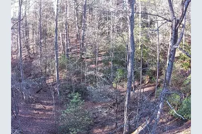 216 Sourwood Drive, Blue Ridge, GA 30513 - Photo 61