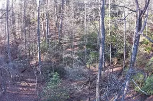216 Sourwood Dr, Blue Ridge, GA 30513 - Photo 67