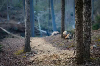 164 Water Dance Trail, Blue Ridge, GA 30513 - Photo 15