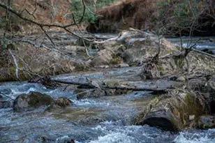 164 Waterdance Trl, Blue Ridge, GA 30513 - Photo 15