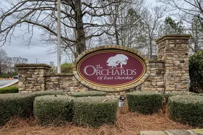 171 Owens Farm Lane, Woodstock, GA 30188 - Photo 57