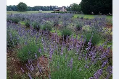 442 Buffalo Creek Road, Carrollton, GA 30117 - Photo 33