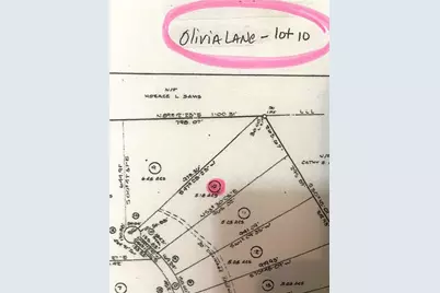 Lot 10 Olivia Lane, Ball Ground, GA 30107 - Photo 5