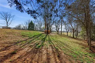 858 Honeysuckle Ln, Temple, GA 30179 - Photo 49