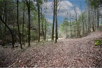 00 Hemlock Road, Ellijay, GA 30540 - Photo 43