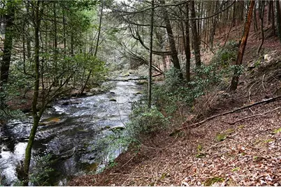 00 Hemlock Road, Ellijay, GA 30540 - Photo 55