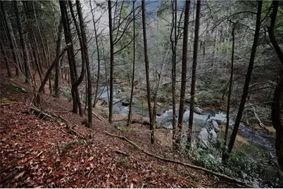 00 Hemlock Road, Ellijay, GA 30540 - Photo 53