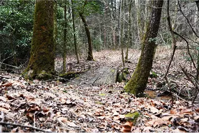 00 Hemlock Road, Ellijay, GA 30540 - Photo 47