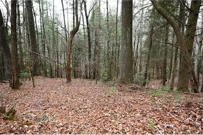 00 Hemlock Road, Ellijay, GA 30540 - Photo 19