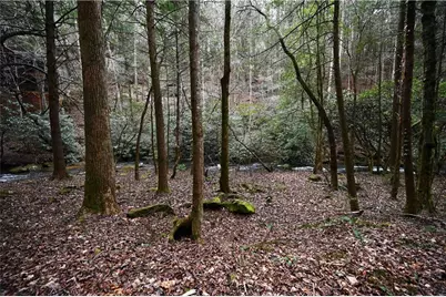 00 Hemlock Road, Ellijay, GA 30540 - Photo 51