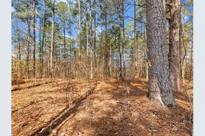 1686 Shoal Creek Road, Monroe, GA 30656 - Photo 41