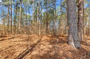 1686 Shoal Creek Rd, Monroe, GA 30656 - Photo 41