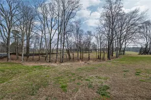 250 Frank Bruce Rd, Dawsonville, GA 30534 - Photo 95