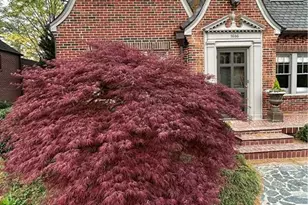 1686 Johnson Rd NE, Atlanta, GA 30306 - Photo 5