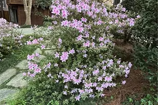 1686 Johnson Rd NE, Atlanta, GA 30306 - Photo 53