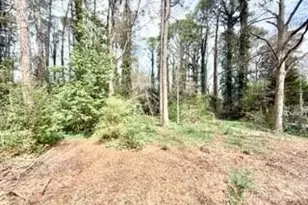 2076 Azalea Cir, Decatur, GA 30033 - Photo 39