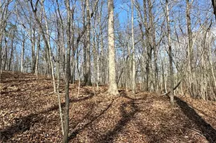 265 Evans Dr, Buchanan, GA 30113 - Photo 87