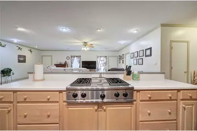 265 Evans Drive, Buchanan, GA 30113 - Photo 19