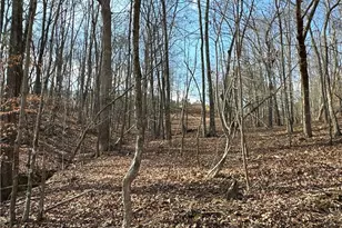 265 Evans Dr, Buchanan, GA 30113 - Photo 89