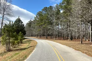 265 Evans Dr, Buchanan, GA 30113 - Photo 109