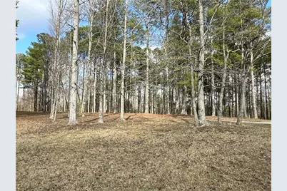 265 Evans Drive, Buchanan, GA 30113 - Photo 93