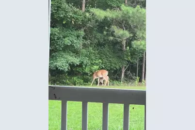 265 Evans Drive, Buchanan, GA 30113 - Photo 113