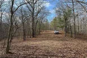 265 Evans Dr, Buchanan, GA 30113 - Photo 75